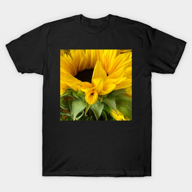 Sunflowers for Peace and Stability in Ukraine T-Shirt by Photomersion